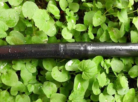 影響滴灌管使用壽命的因素